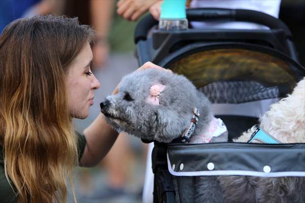 The Day Of The Dog Festival in Canada