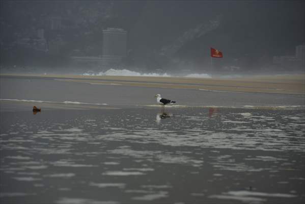 Winter in Rio de Janeiro