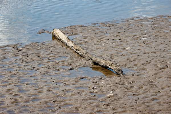 Water level drop in Germany