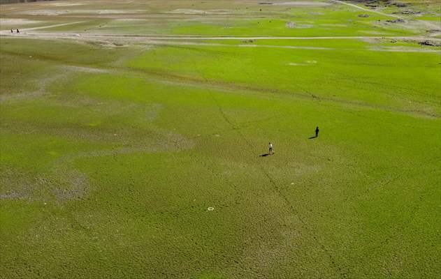 Water level drop in Germany