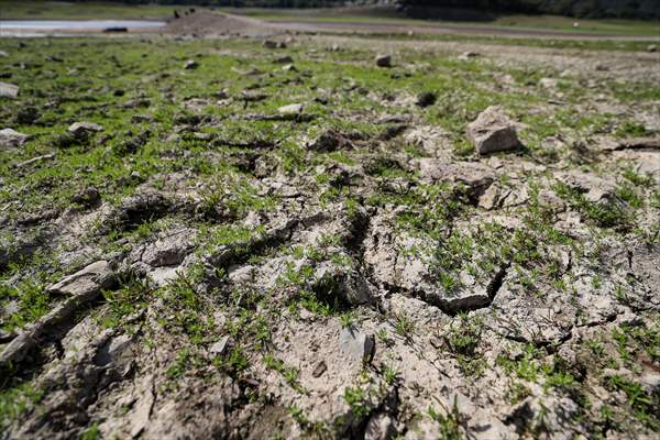 Water level drop in Germany