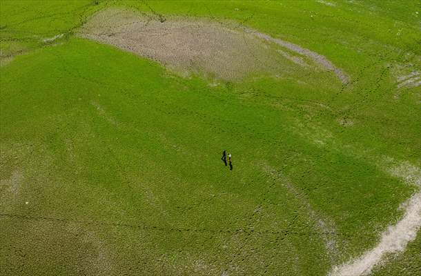 Water level drop in Germany