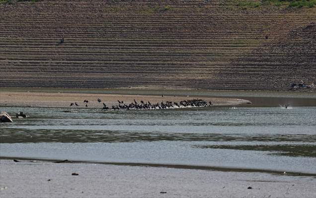 Water level drop in Germany