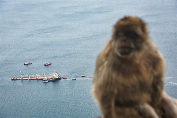 Cargo ship leaks fuel near Gibraltar