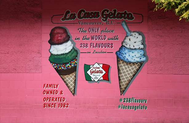 World Record 238 Ice Cream Flavours