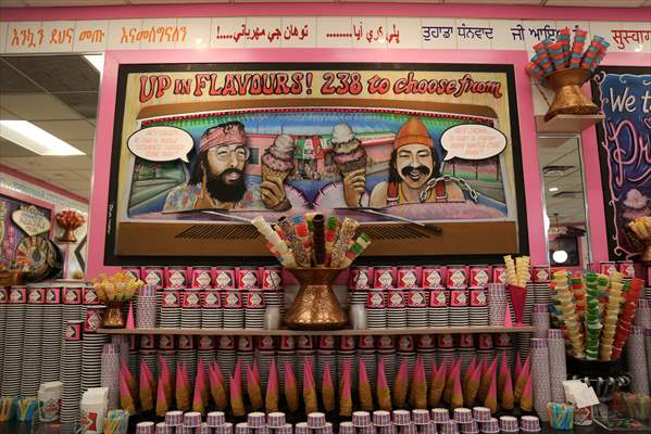 World Record 238 Ice Cream Flavours