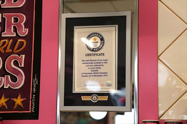 World Record 238 Ice Cream Flavours