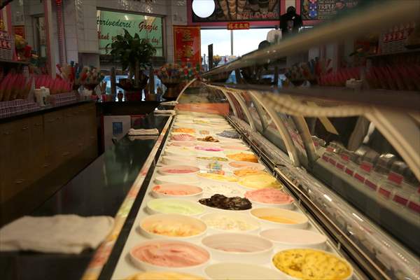 World Record 238 Ice Cream Flavours
