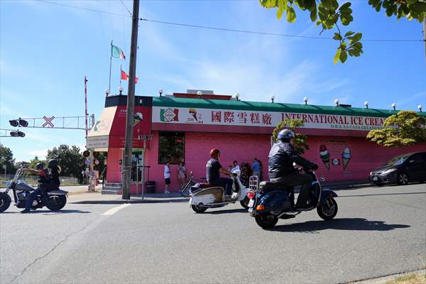 World Record 238 Ice Cream Flavours