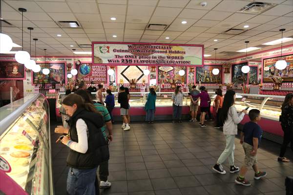 World Record 238 Ice Cream Flavours