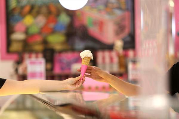 World Record 238 Ice Cream Flavours