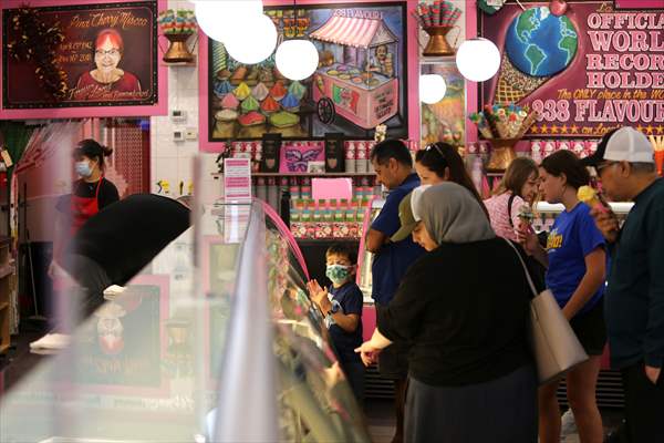 World Record 238 Ice Cream Flavours