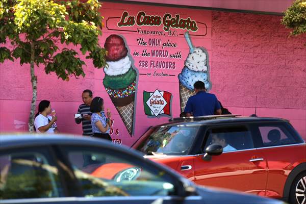 World Record 238 Ice Cream Flavours
