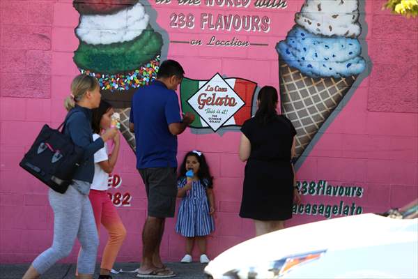World Record 238 Ice Cream Flavours