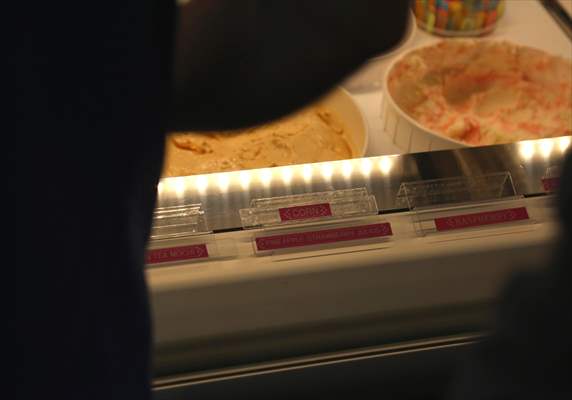 World Record 238 Ice Cream Flavours