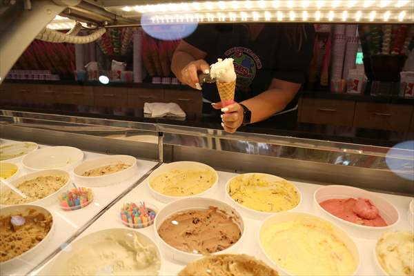 World Record 238 Ice Cream Flavours