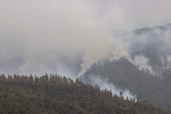 Mosquito fire in California