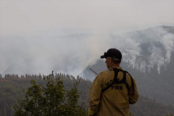 Mosquito fire in California