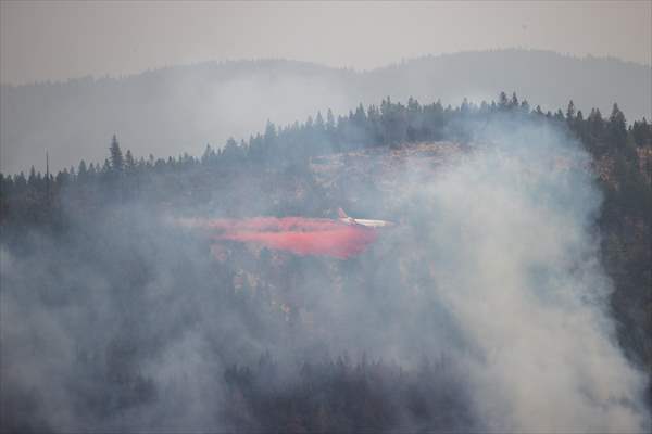 Mosquito fire in California