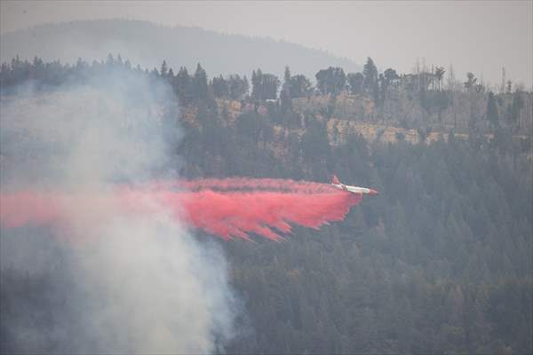 Mosquito fire in California