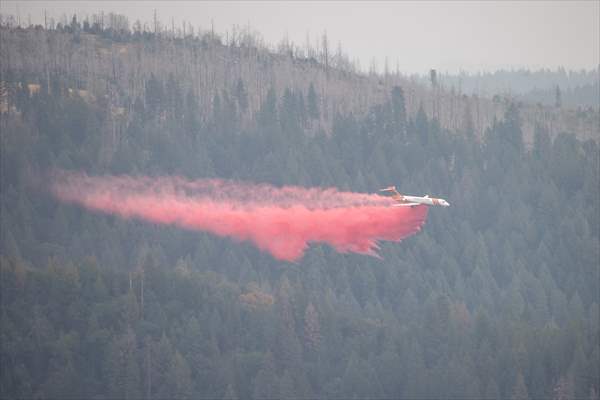 Mosquito fire in California