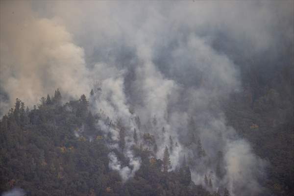 Mosquito fire in California