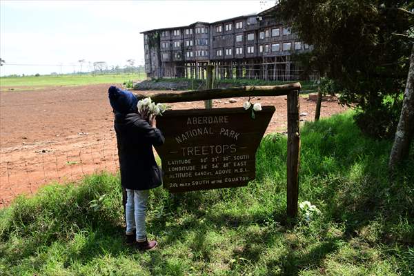 Treetops Hotel: Kenyan safari lodge where princess became a queen