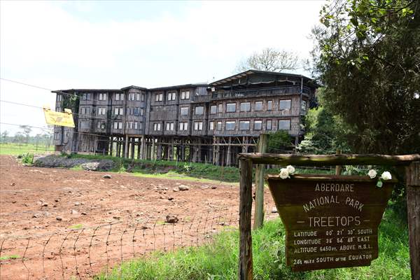 Treetops Hotel: Kenyan safari lodge where princess became a queen