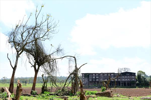 Treetops Hotel: Kenyan safari lodge where princess became a queen