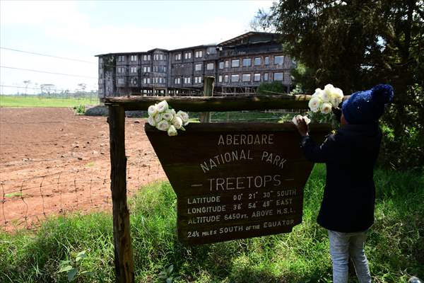 Treetops Hotel: Kenyan safari lodge where princess became a queen