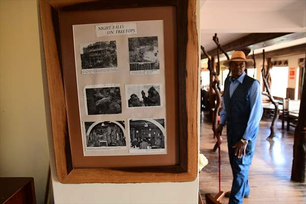 Treetops Hotel: Kenyan safari lodge where princess became a queen