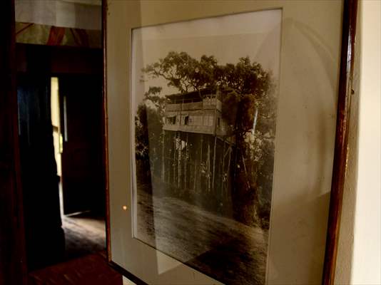 Treetops Hotel: Kenyan safari lodge where princess became a queen