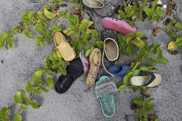 International Coastal Cleanup Day in El Salvador