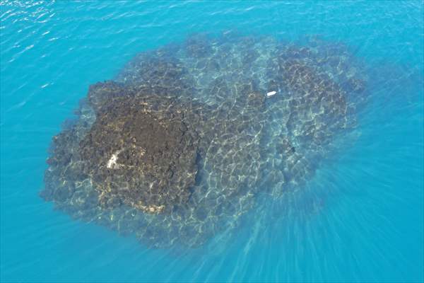 Van Gölü'nde 32,2 metre uzunluğunda mikrobiyalit görüntülendi