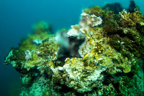 Van Gölü'nde 32,2 metre uzunluğunda mikrobiyalit görüntülendi