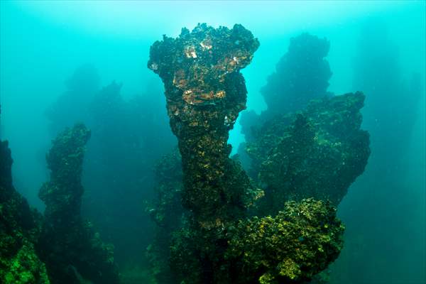 Van Gölü'nde 32,2 metre uzunluğunda mikrobiyalit görüntülendi