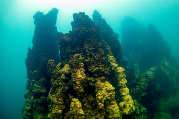 Van Gölü'nde 32,2 metre uzunluğunda mikrobiyalit görüntülendi