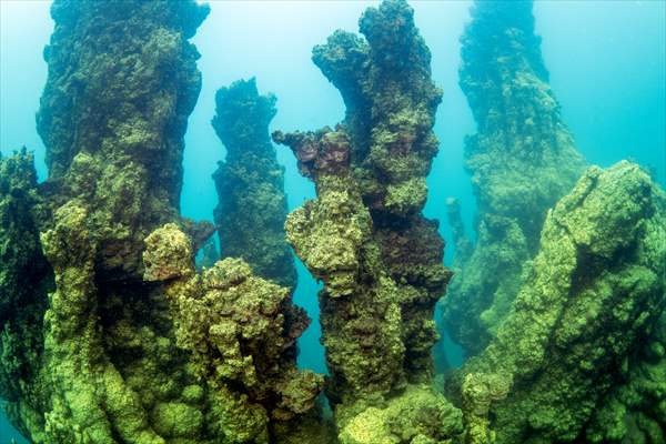 Van Gölü'nde 32,2 metre uzunluğunda mikrobiyalit görüntülendi