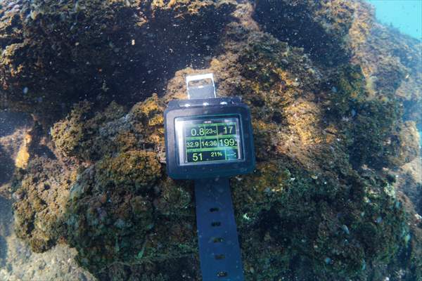 Van Gölü'nde 32,2 metre uzunluğunda mikrobiyalit görüntülendi