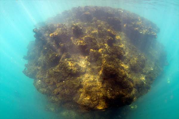 Van Gölü'nde 32,2 metre uzunluğunda mikrobiyalit görüntülendi