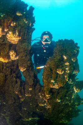 Van Gölü'nde 32,2 metre uzunluğunda mikrobiyalit görüntülendi