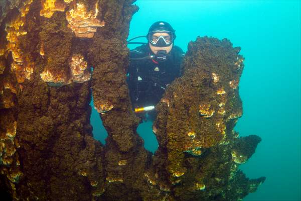 Van Gölü'nde 32,2 metre uzunluğunda mikrobiyalit görüntülendi
