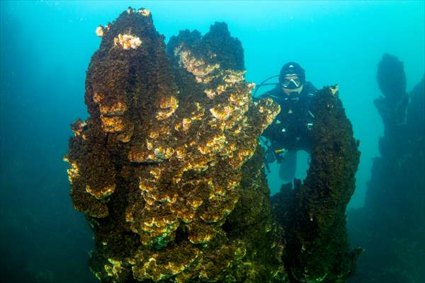Van Gölü'nde 32,2 metre uzunluğunda mikrobiyalit görüntülendi