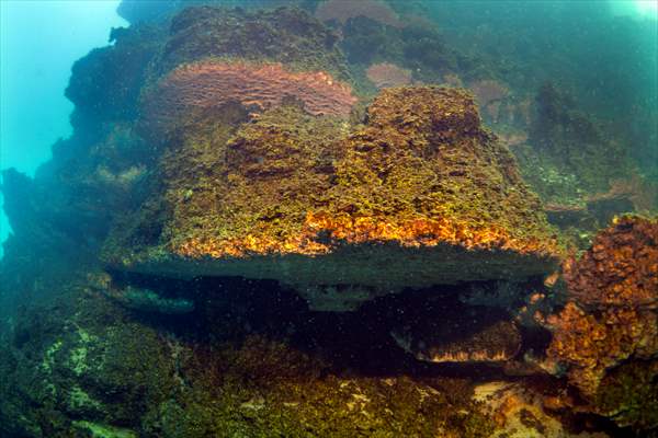 Van Gölü'nde 32,2 metre uzunluğunda mikrobiyalit görüntülendi