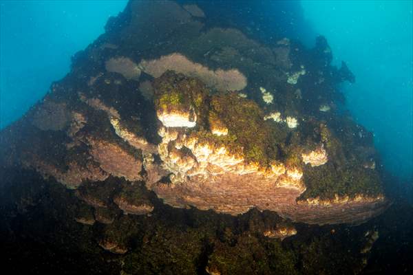 Van Gölü'nde 32,2 metre uzunluğunda mikrobiyalit görüntülendi