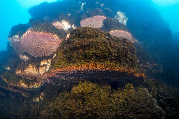 Van Gölü'nde 32,2 metre uzunluğunda mikrobiyalit görüntülendi