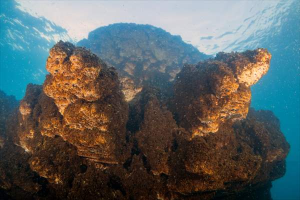 Van Gölü'nde 32,2 metre uzunluğunda mikrobiyalit görüntülendi