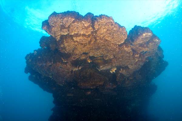 Van Gölü'nde 32,2 metre uzunluğunda mikrobiyalit görüntülendi