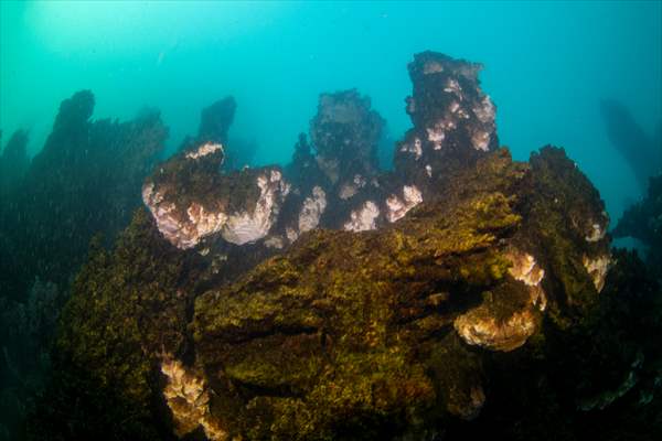 Van Gölü'nde 32,2 metre uzunluğunda mikrobiyalit görüntülendi