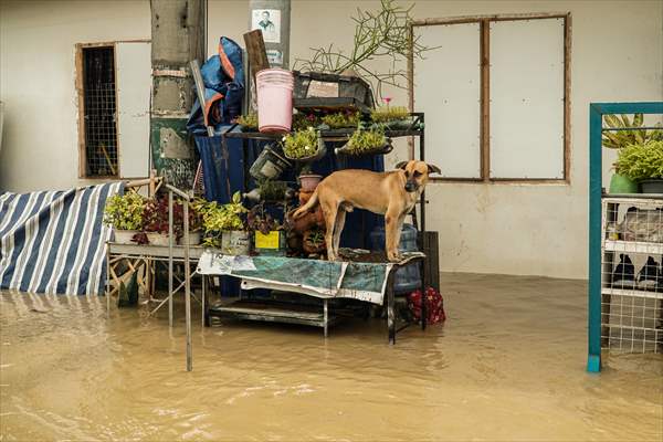Super typhoon Noru hits Philippines